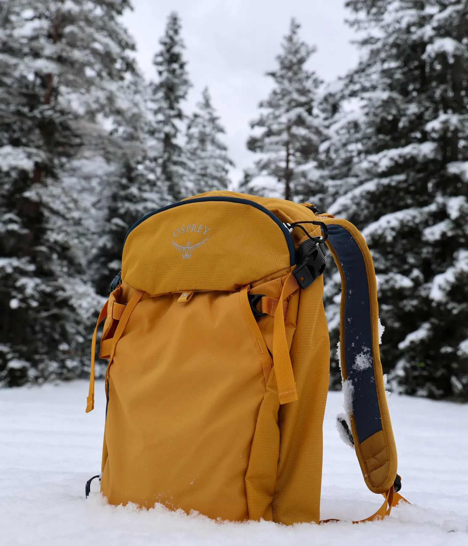 Osprey Backpack Winter
