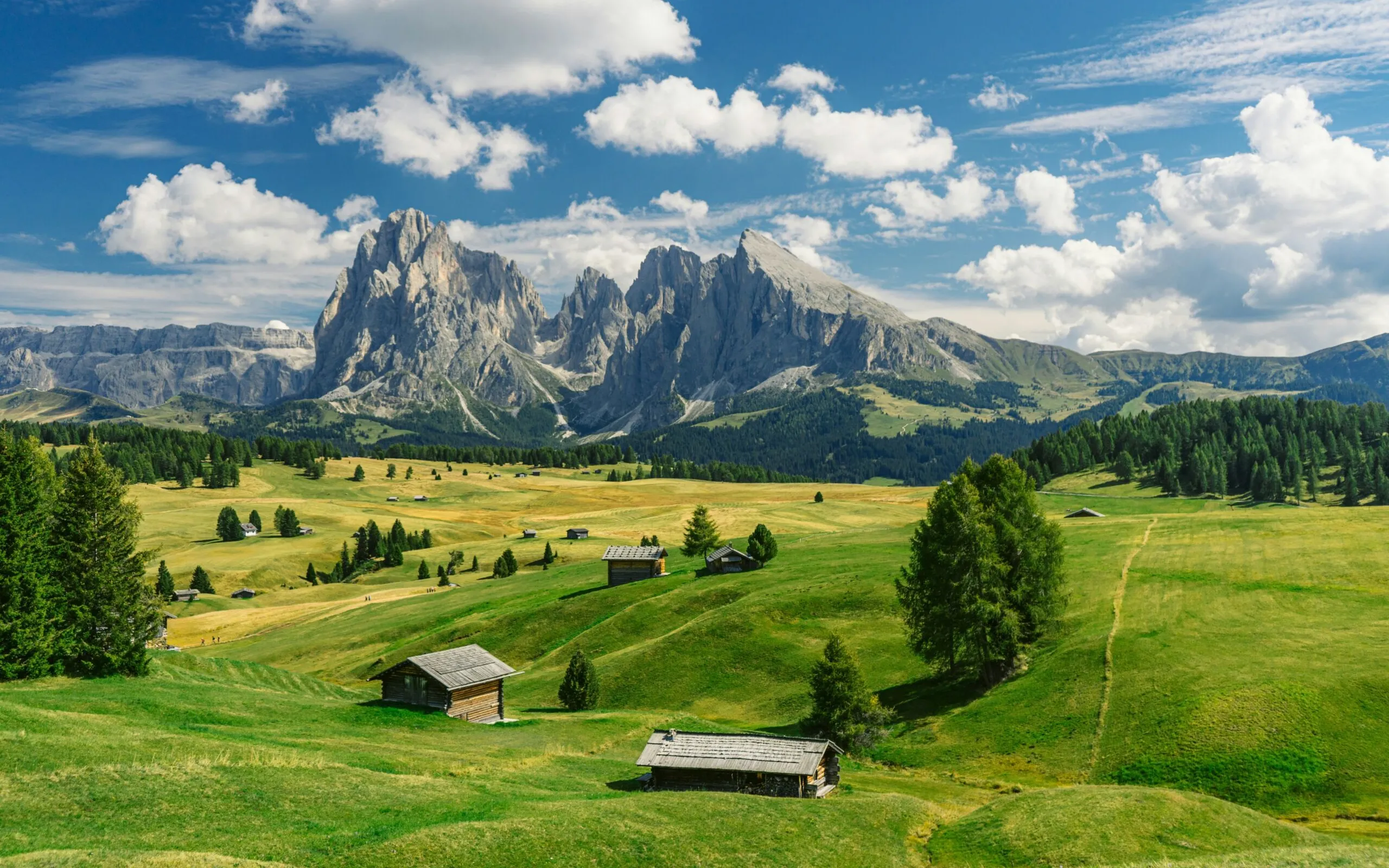 Alpe di Siusi