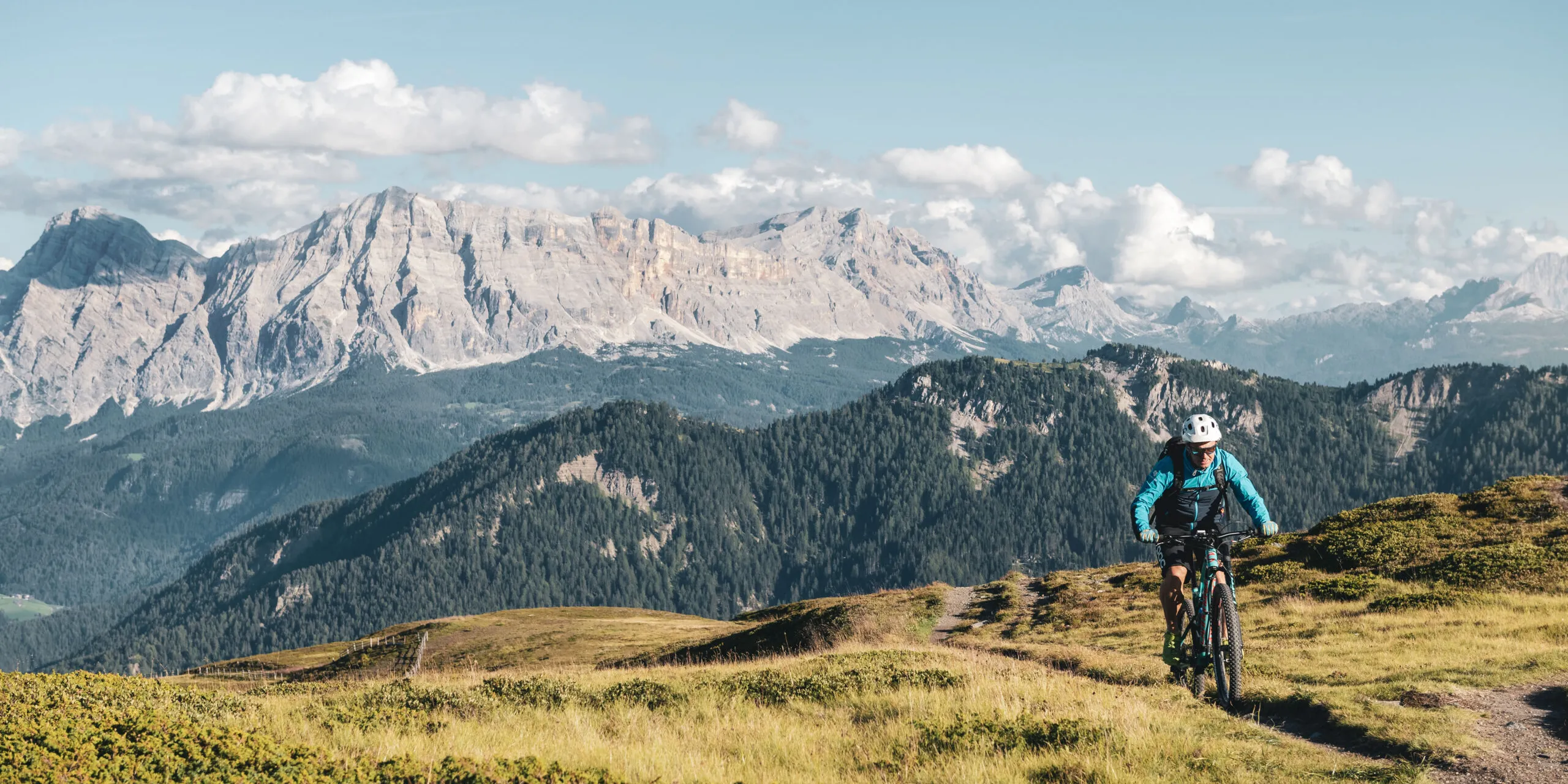 Moling Alex MTB Wurzjoch