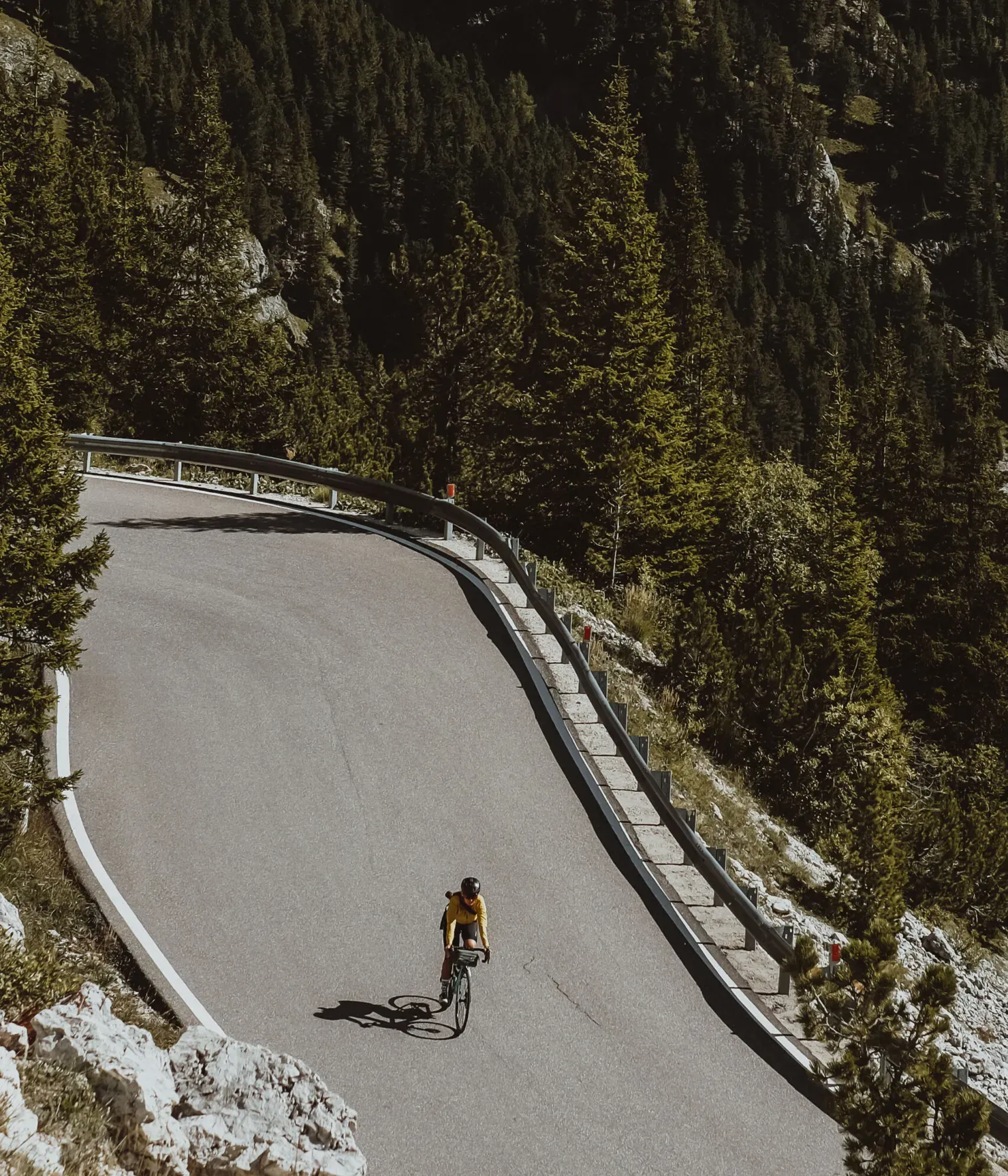Road bike-  foto con copyright ©Aljia