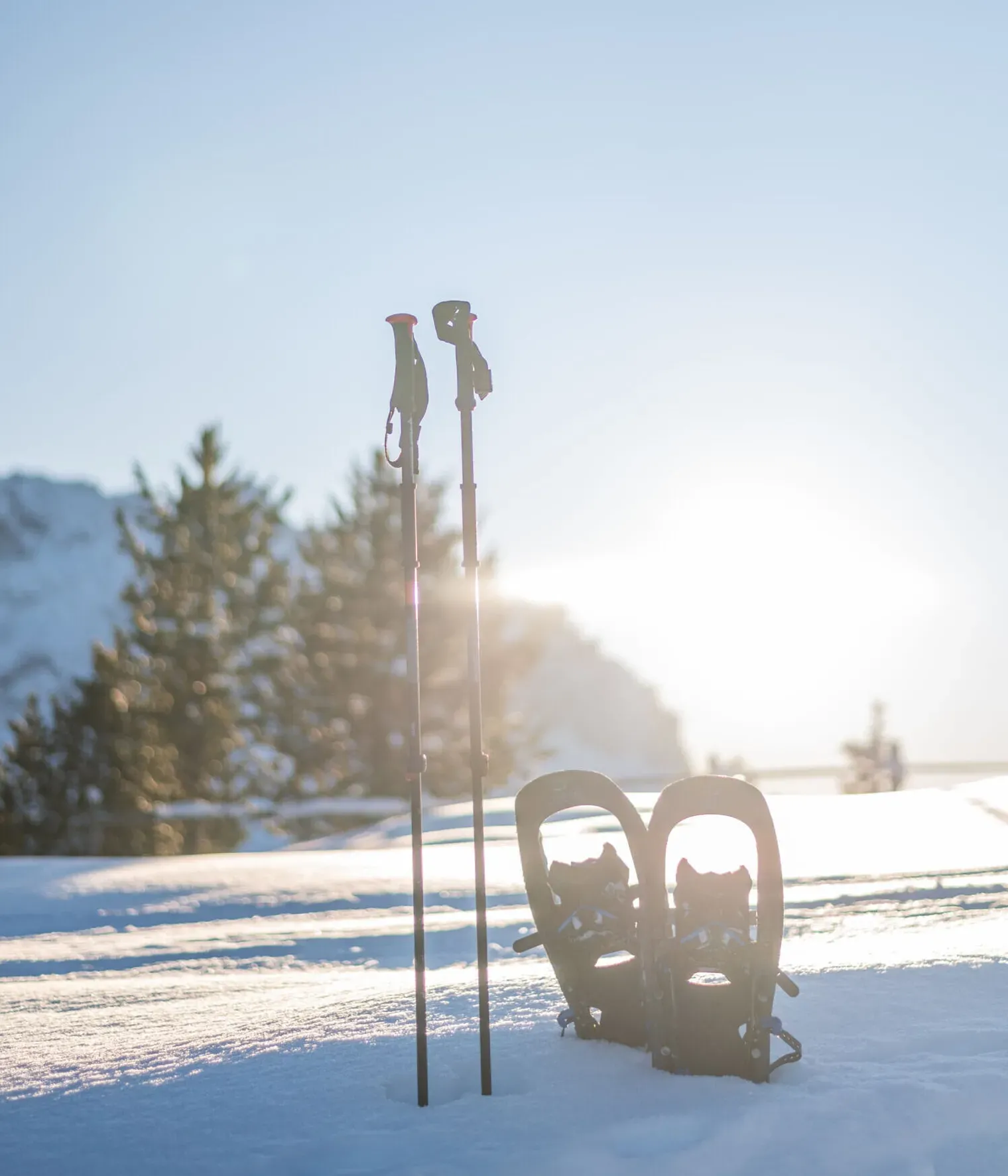 Ciaspole - ©Gianvito Foto Copyright