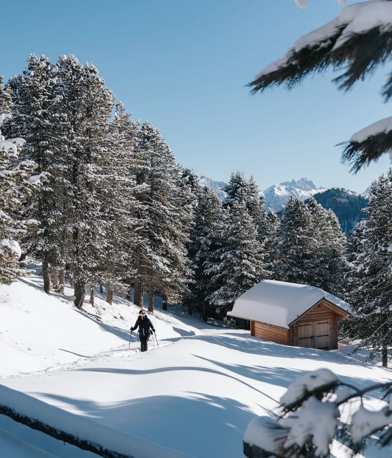 Ciaspolata Passo delle Erbe