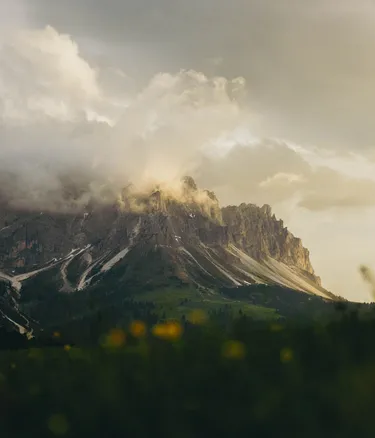 alpine landscape