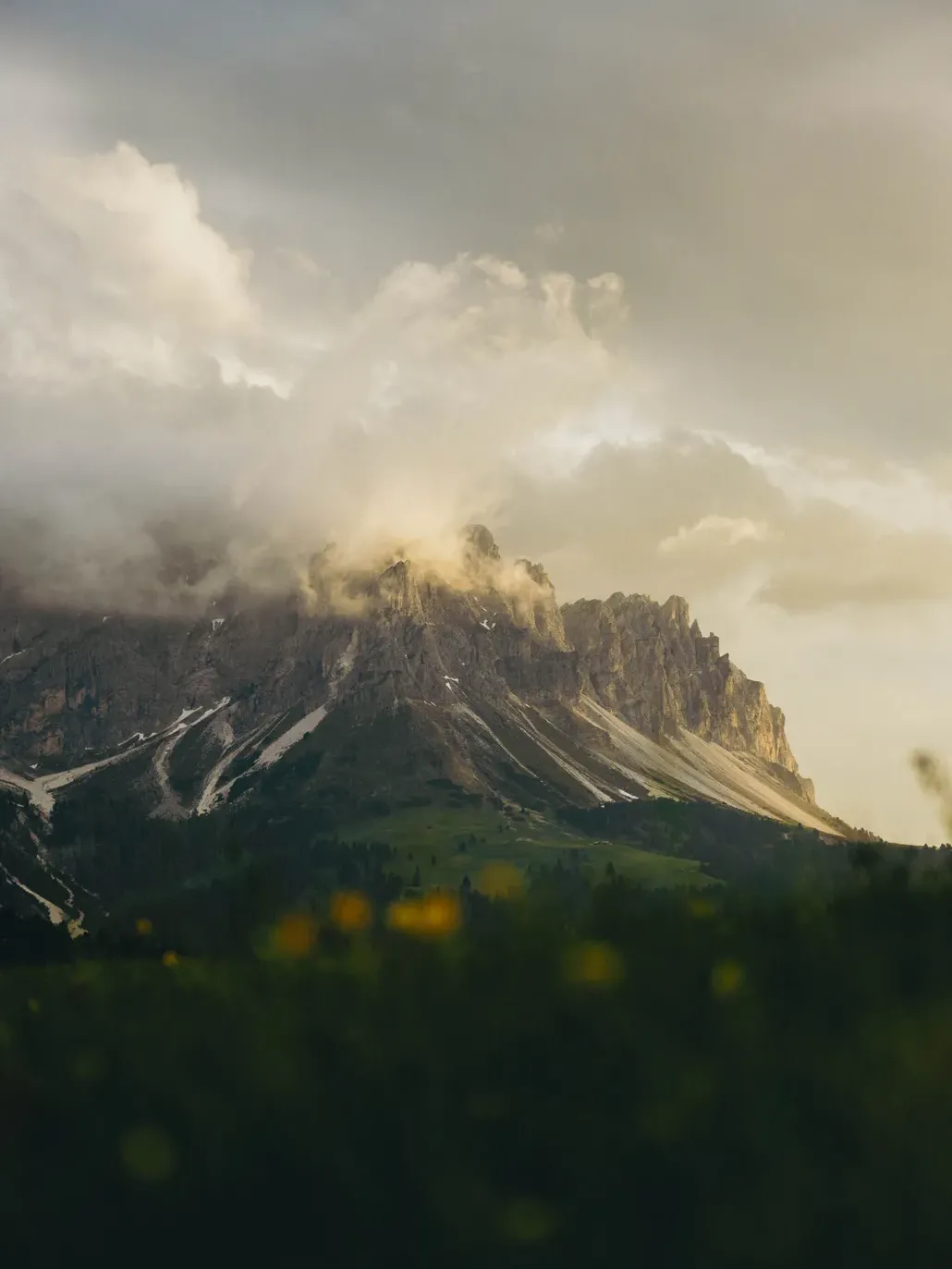 alpine landscape