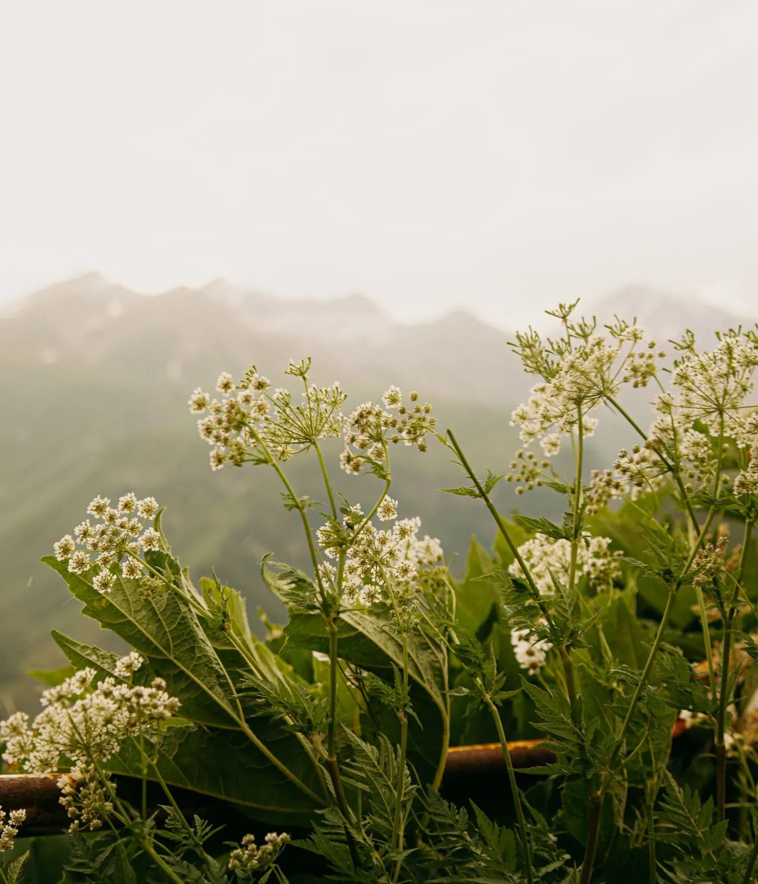 Pexels roman odintsov 8747804