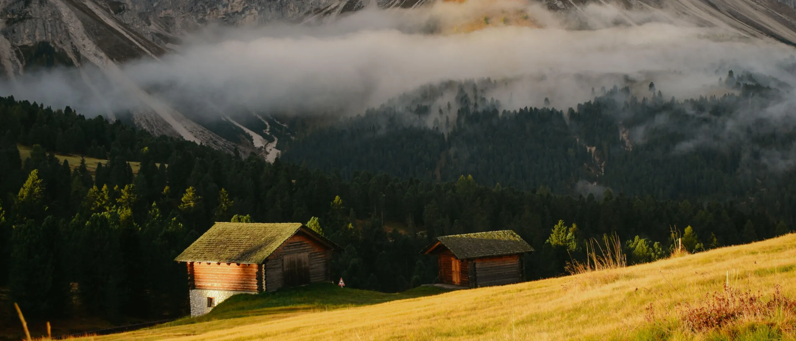 Summer CTA Booking UDB