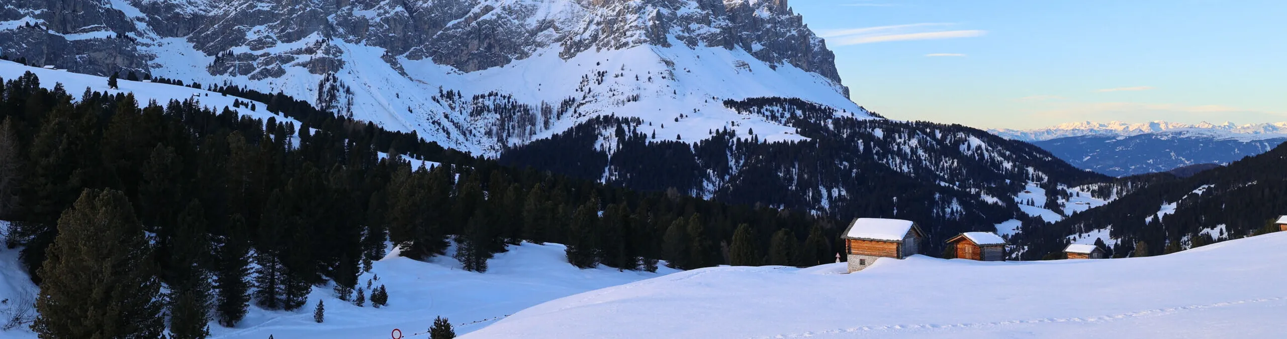 Francesca Guadagnin 13