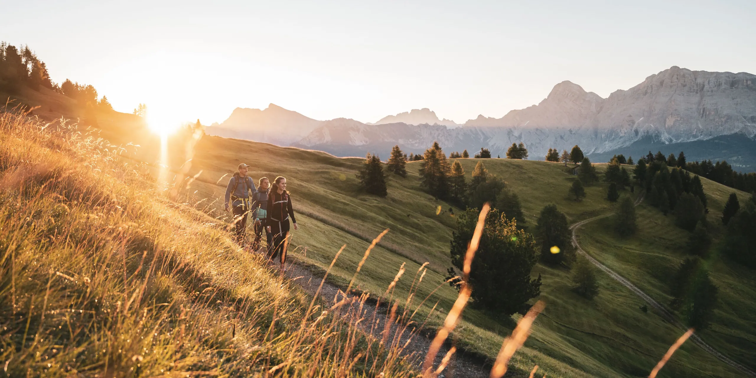 2020 Moling Alex WAN SON Goma High Resolution SO 27