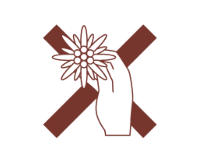 Icona parchi naturali 9