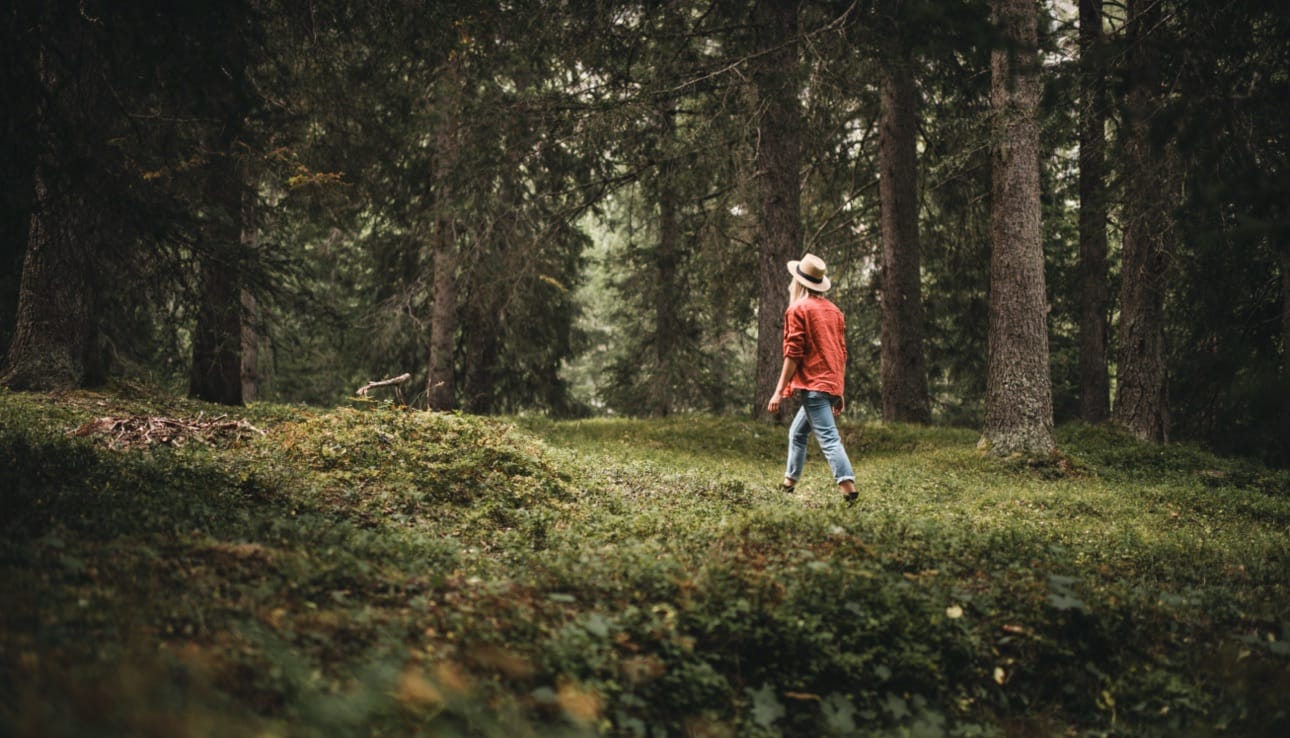Camminata tra i boschi dell'Alto Adige